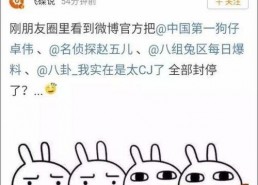 娱乐吃瓜 大事件