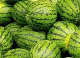 吃瓜网每日大赛往期内容,回顾往期精彩瞬间，揭秘热门选手幕后故事