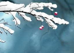 娱乐吃瓜酱长相思,长相思中的美食与人生百态