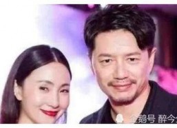 明星娱乐圈吃瓜大合集,明星吃瓜大合集深度解析