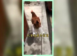 怎么屏蔽娱乐吃瓜群众,巧妙屏蔽娱乐吃瓜群众的实用指南