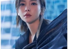 娱乐吃瓜姐于文文,揭秘文文于文文背后的故事