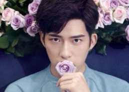 明星娱乐圈吃瓜节目推荐,明星幕后故事大起底