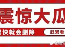 娱乐八卦吃瓜总汇421,揭秘421事件背后的真相与幕后故事