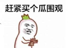 吃瓜的表情如何回复,揭秘网络社交中的趣味与智慧