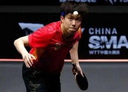 王楚钦吃娱乐圈瓜