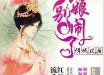 娱乐吃瓜君某位娘娘小说,娘娘的逆袭之路