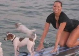 娱乐吃瓜君狗狗,揭秘娱乐圈宠物的趣味生活