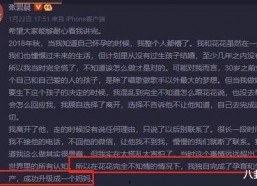 娱乐圈代号吃瓜TXT下载,揭秘明星幕后故事