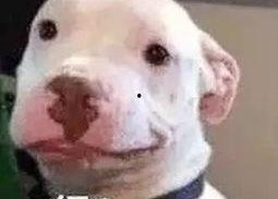 娱乐圈吃瓜微信公众号,吃瓜群众必看幕后真相！