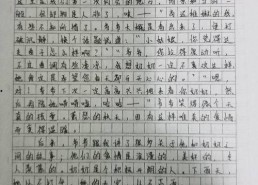 吃瓜大赛作文两轮,两轮角逐，瓜界风云再起