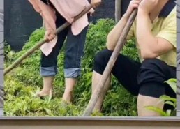 八卦娱乐是吃瓜群众的,揭秘吃瓜群众的狂欢盛宴