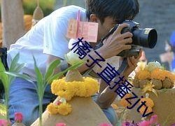 娱乐718吃瓜贴吧,揭秘娱乐圈最新“瓜田”盛况